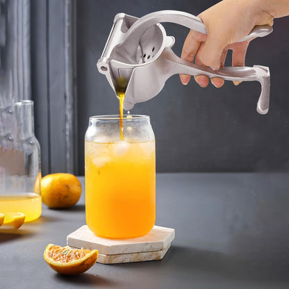 Manual Fruit Juicer Press, Heavy Duty Stainless Steel Citrus Squeezer
